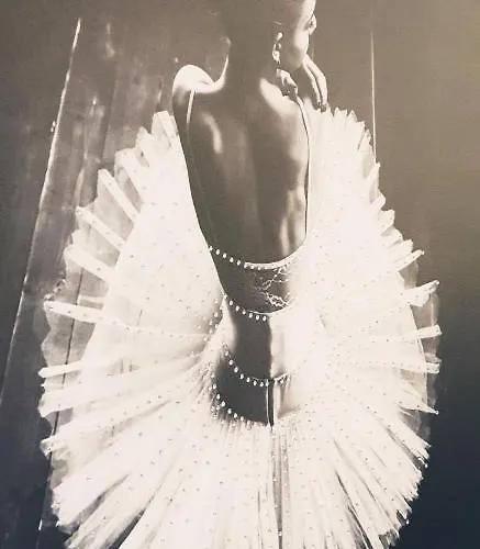 Studio Appartement *